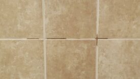 Water-darkened grout on shower wall