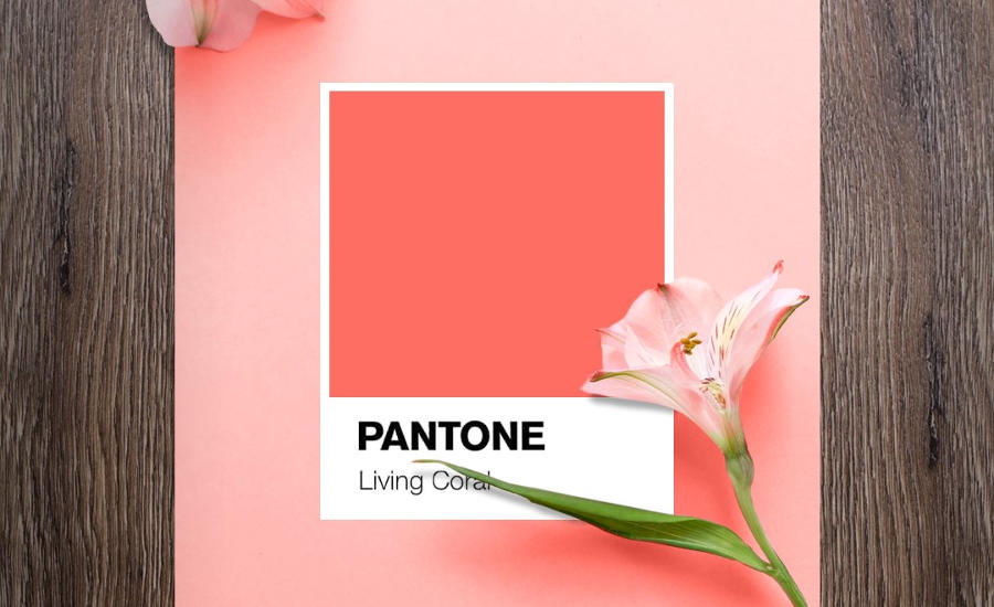 Flooring Manufacturers Celebrate “Life-Affirming” Living Coral