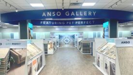 Anso Gallery.jpg