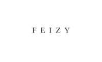 Feizy logo